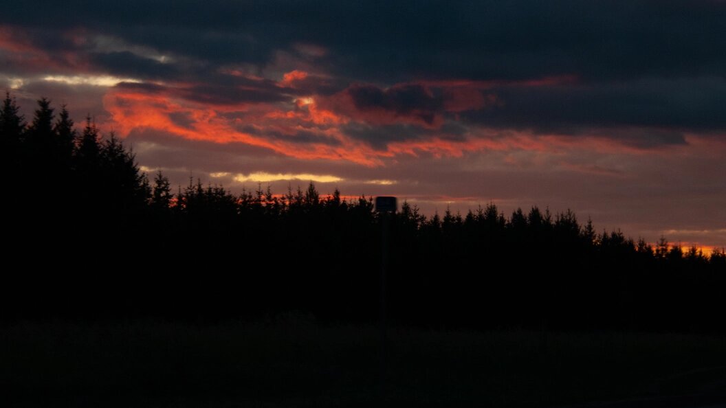    ФОТО: Svetlana Vozmilova/Globallookpress