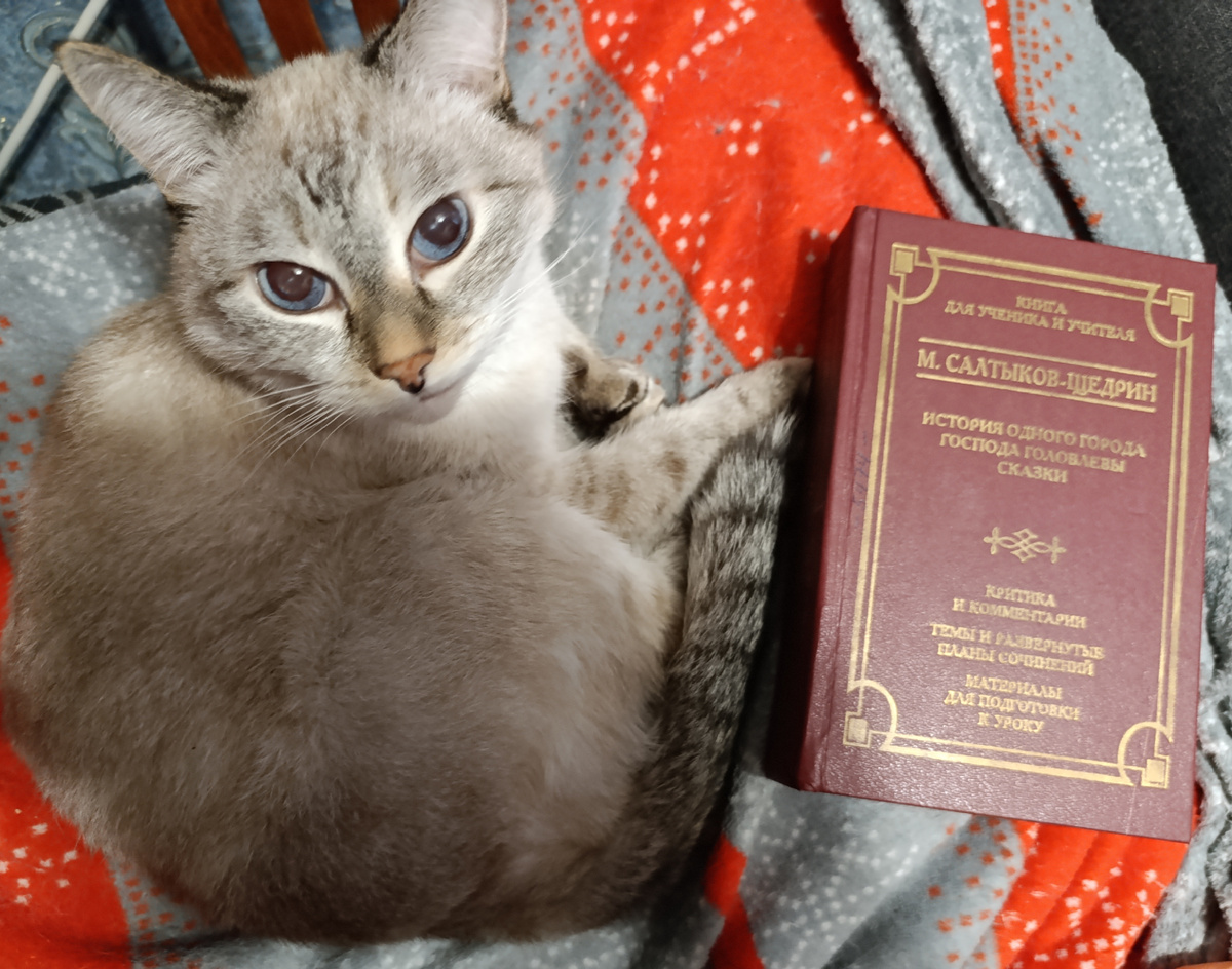 Книгу из школьной библиотеки в знакомой всем серии сегодня представляет Дженя. 