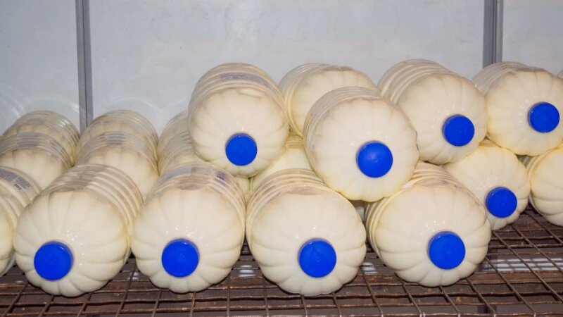     Молоко. Ирина Пергаева