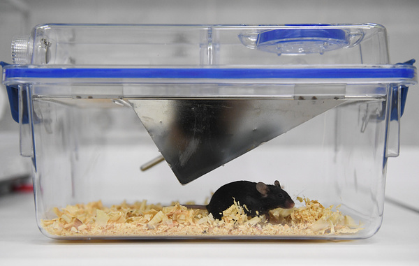 Кирилл Кухмарь/ТАСС