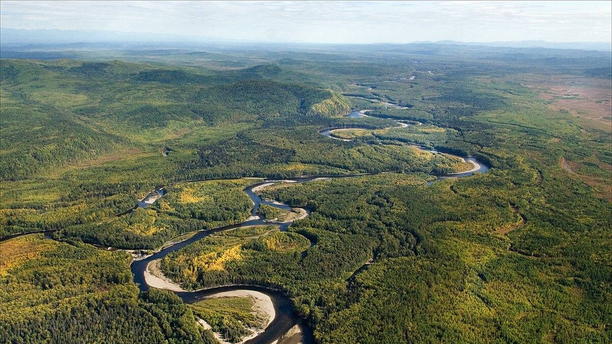    Фото: Shutterstock