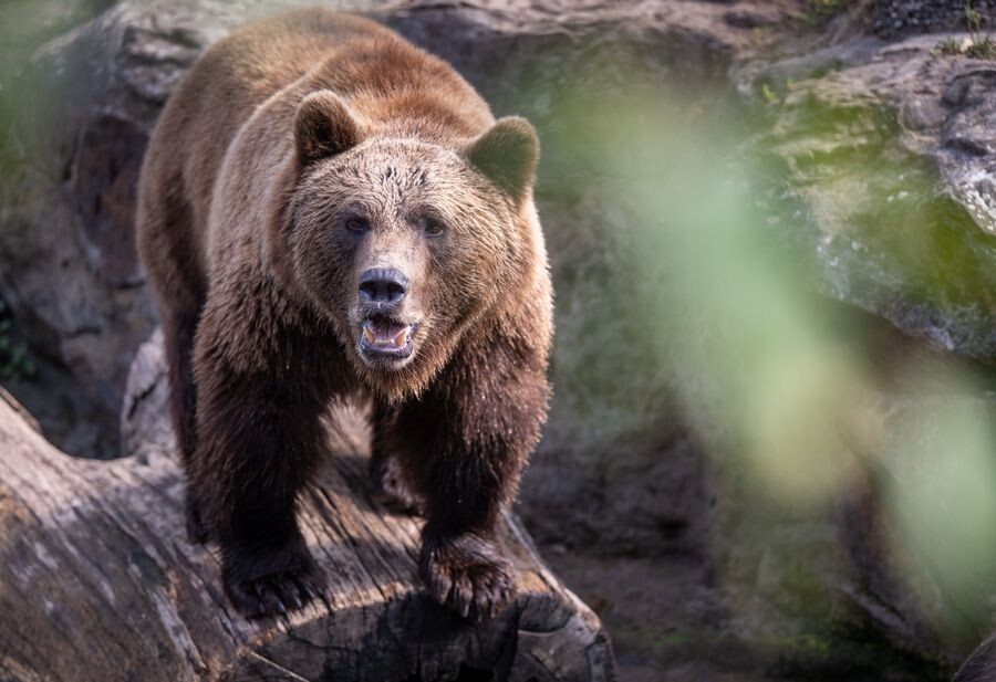     / Источник: © Monika Skolimowska/dpa/picture-alliance/ТАСС