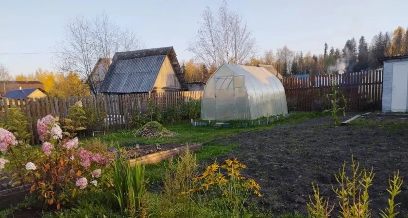    Пачка дешёвой крупы осенью и земля как после КАМАЗа навоза: разбираемся, где правда, а где хитрая уловка