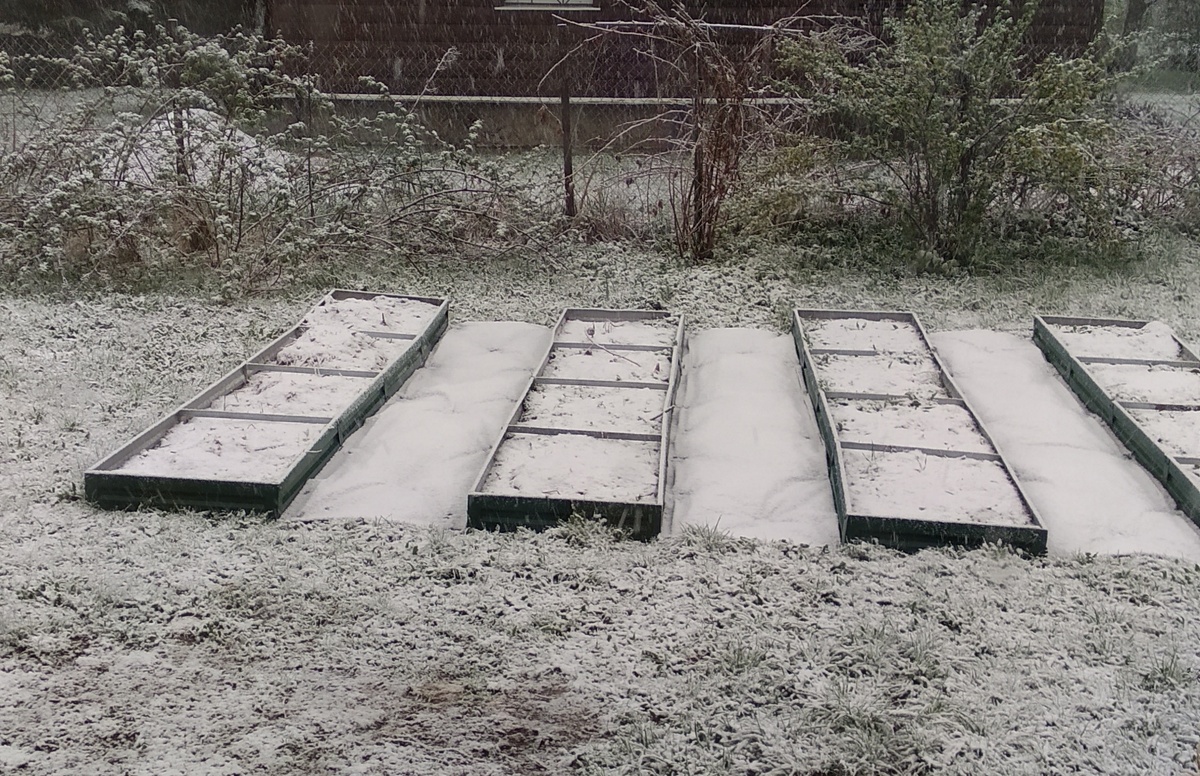 фото 1 мая 2025