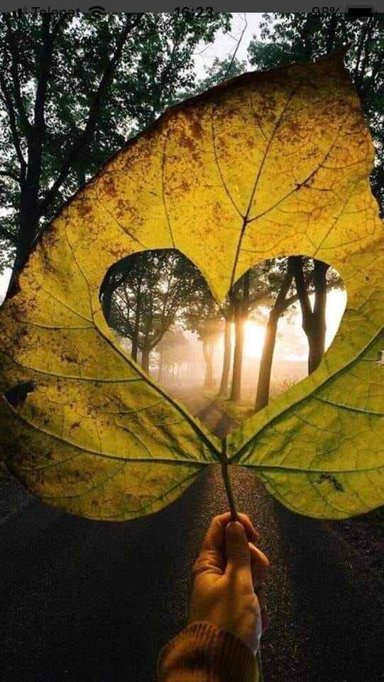 Сердце не ранит. Можно не помнить