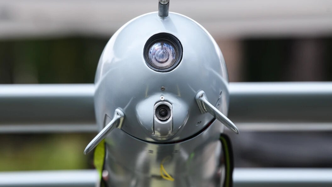    Фото: Ilya Moskovets /Globallookpress