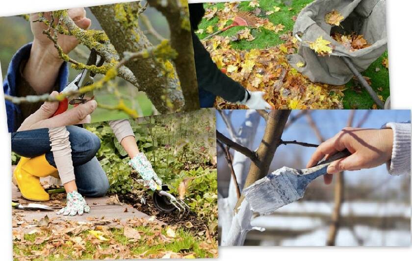 источник: https://www.hoiniki.by/?p=28915