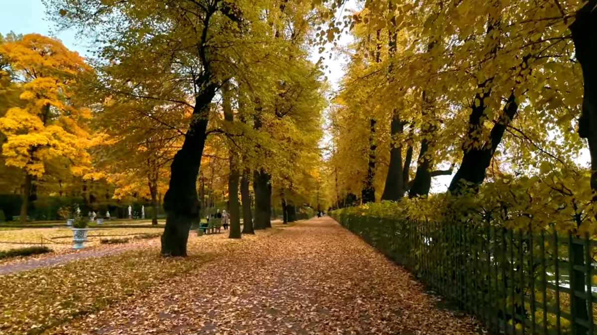 волшебная прогулка по Летнему саду