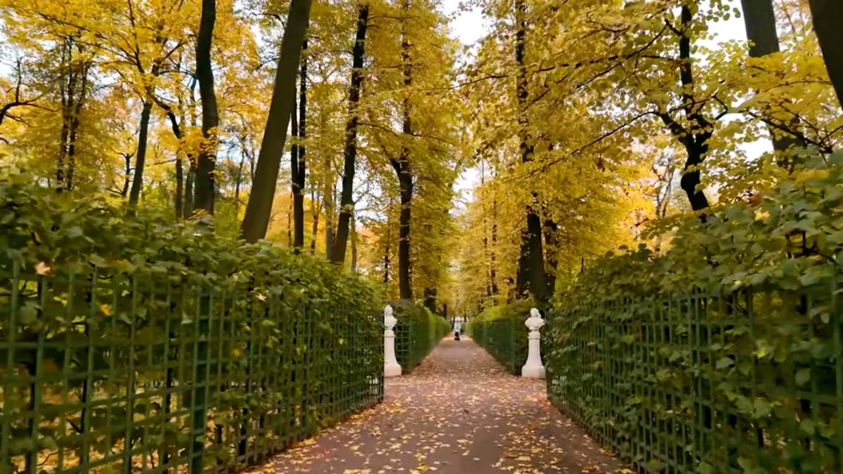 волшебная прогулка по Летнему саду