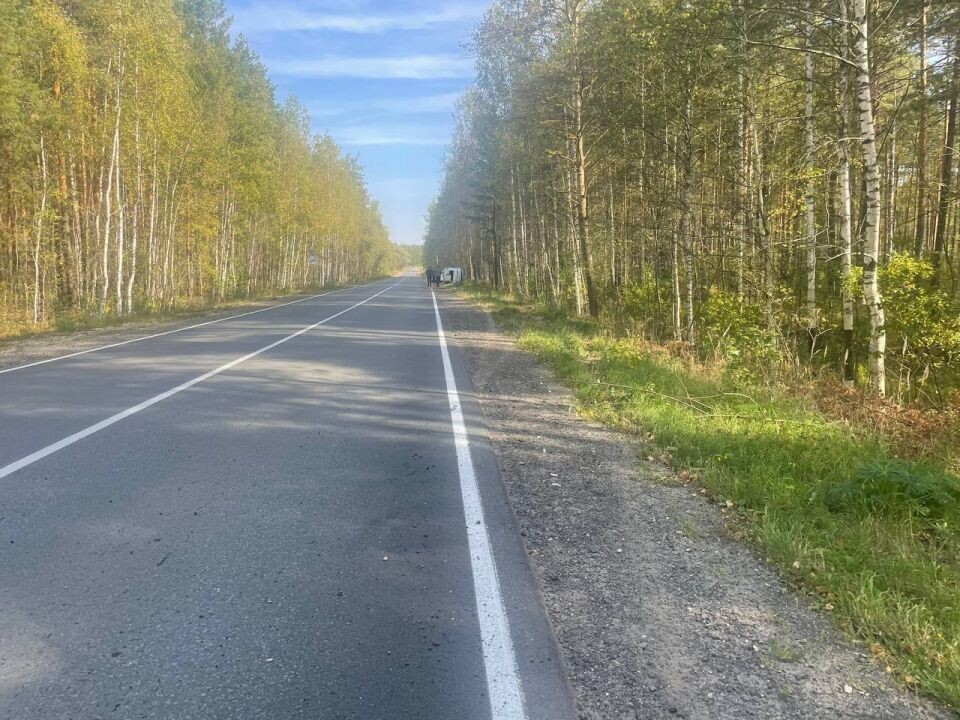    ДТП во Владимирской области. Источник: t.me/proboknet