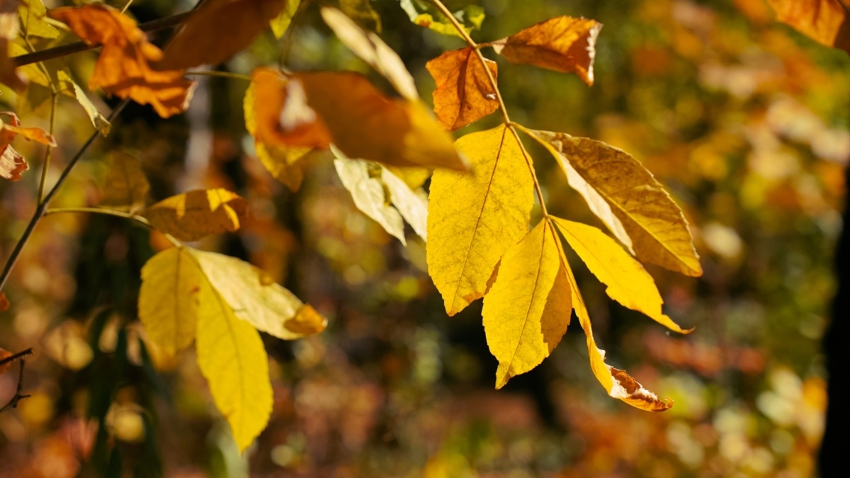 Светлана Мулыкина📷
