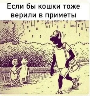 Из открытых источников интернета 