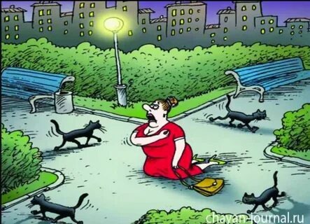 Из открытых источников интернета 