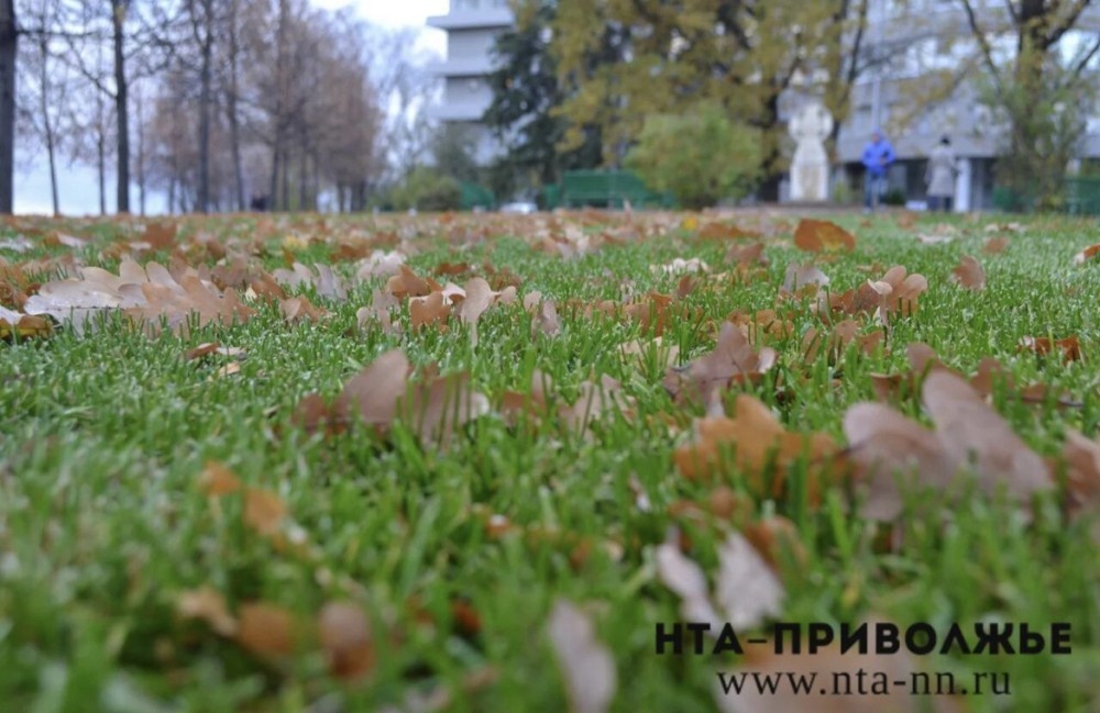    Народные приметы: 3 октября