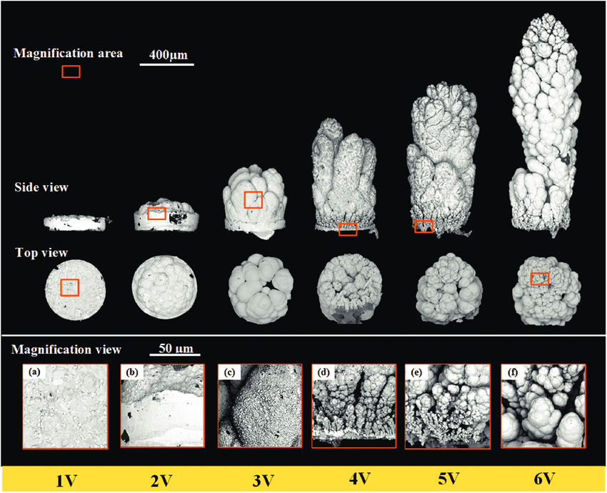 Изображения одиночных медных отложений при различных потенциалах. a) одиночная точка при 1 В, увеличенное сверху, b) одиночная точка при 2 В, увеличенное сбоку, c) одиночная точка при 3 В, увеличенное сбоку, d) одиночная точка при 4 В, увеличенное сбоку, e) одиночная точка при 5 В, увеличенное сбоку, f) одиночная точка при 6 В, увеличенное сверху.