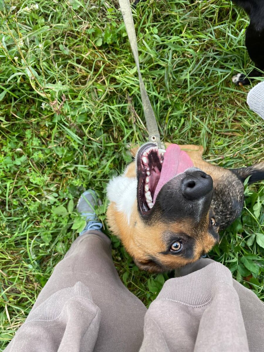 Первая встреча с Шайн в 2023 году