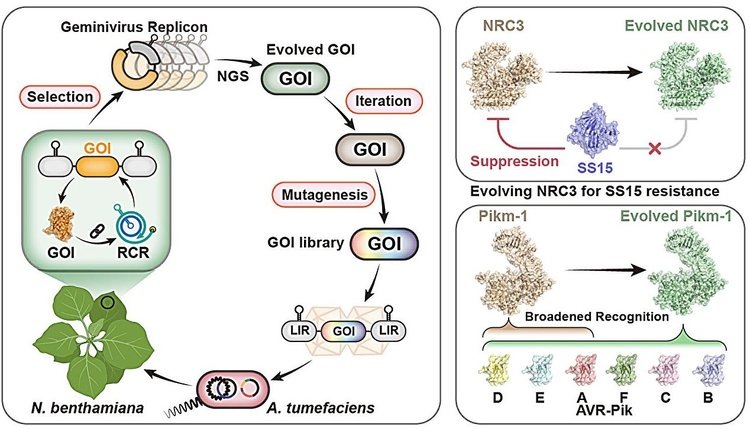    Фото: Gao Caixia