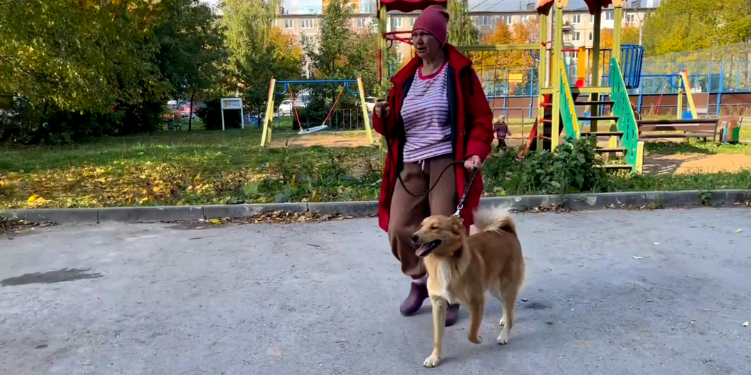 Счастье не зависит от породы, его можно просто подарить