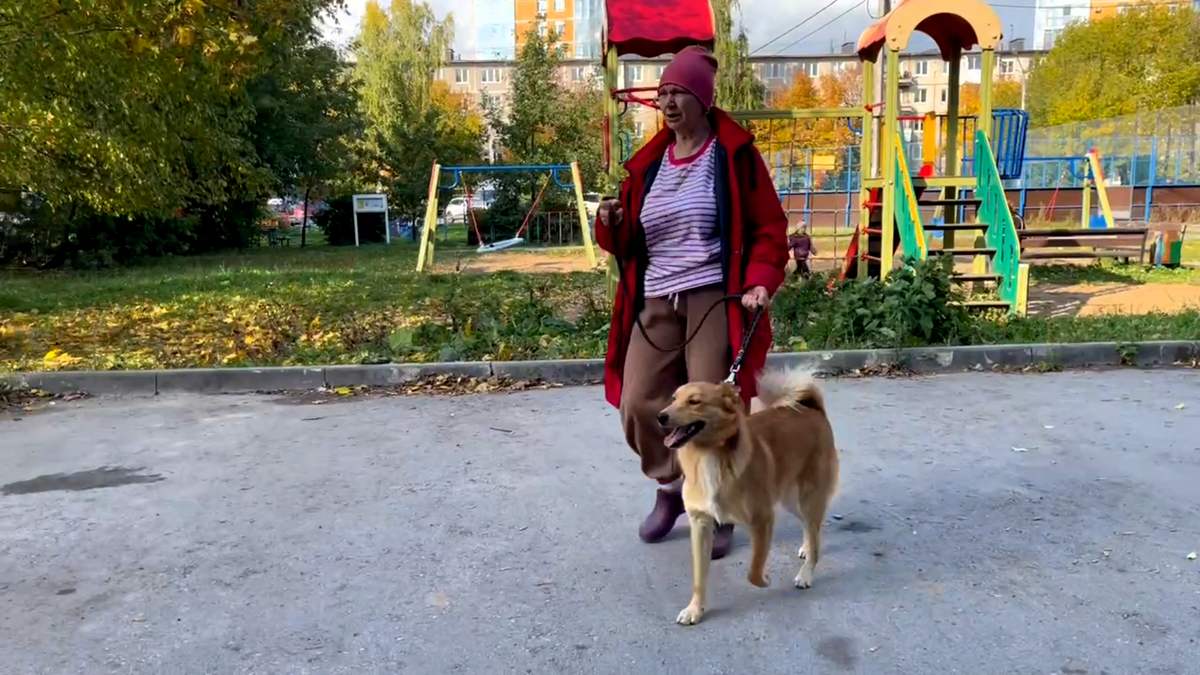 Теперь я городской житель