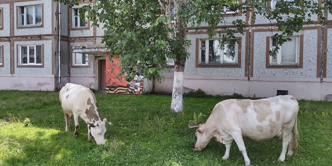 Города России. 8 фактов об Облучье