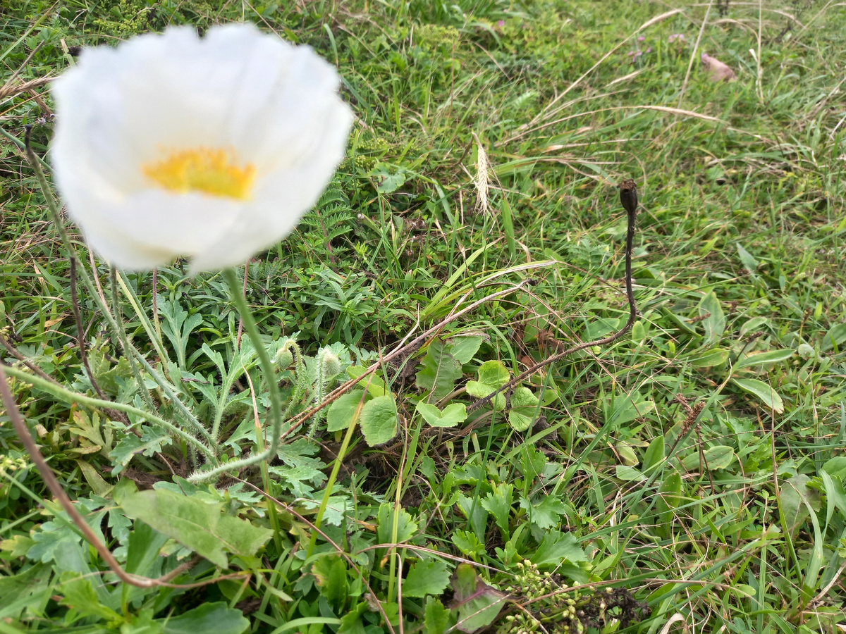 Как известно, дети - цветы жизни)