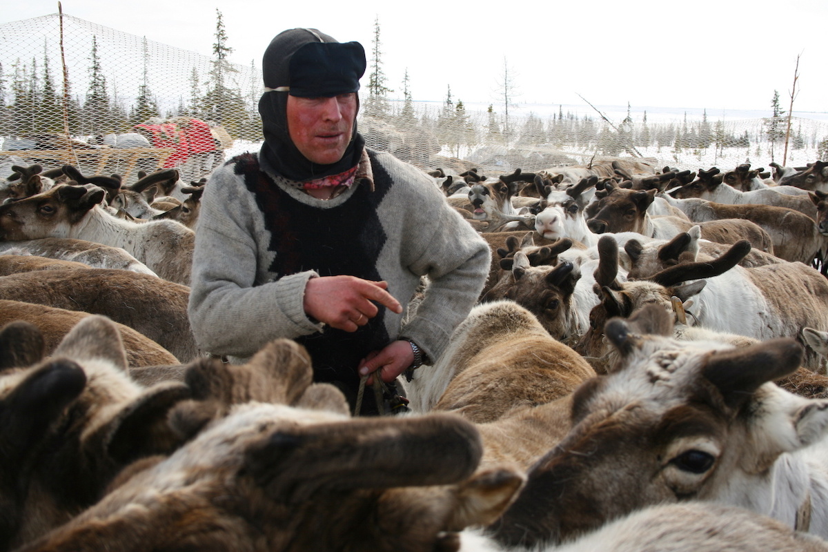 Фото: Александра Марчук / GeoPhoto