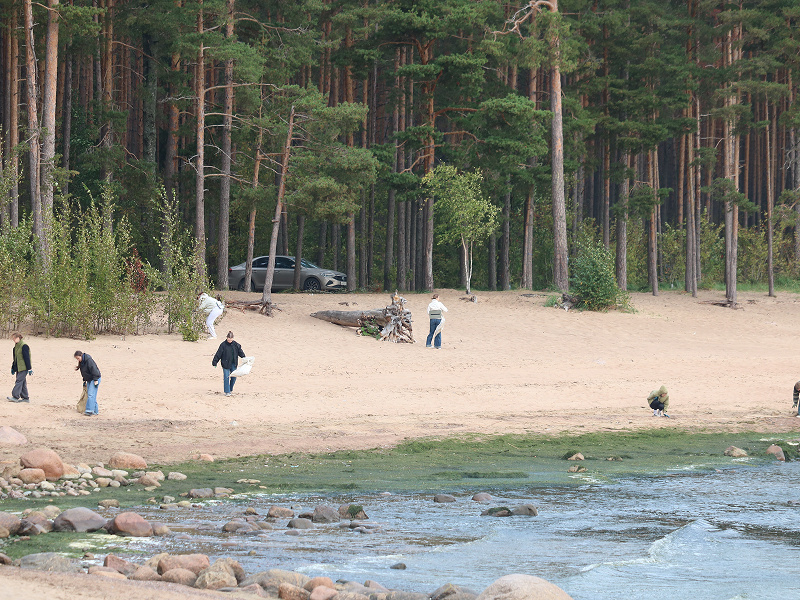 Кропотливо ищем все мусоринки на пляже