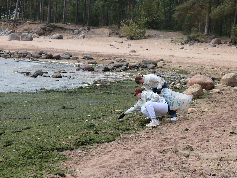 Кросы полные песка, легкие полные морского воздуха, голова полная впечатлений и мыслей