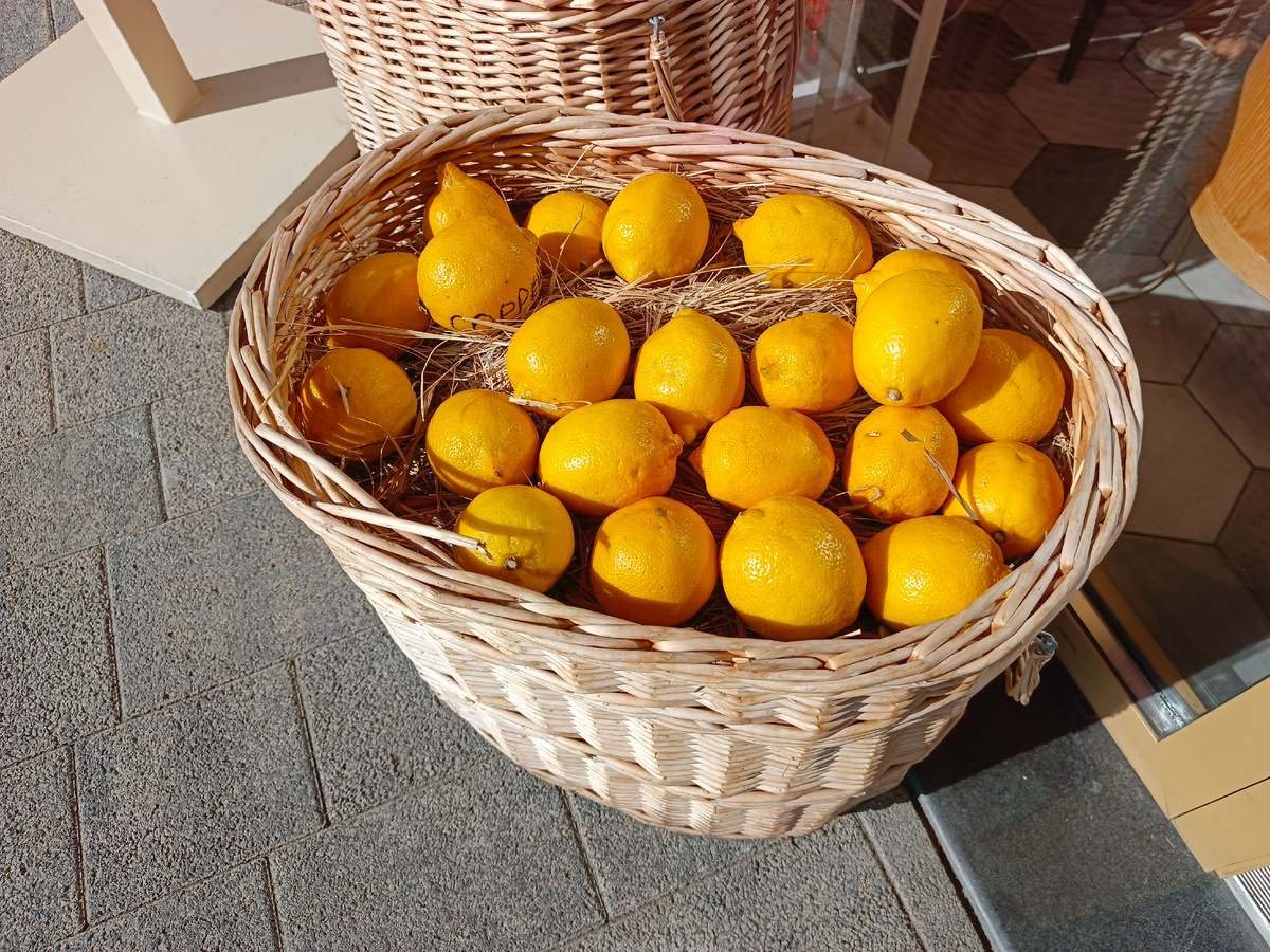 ФТ Сириус, набережная реки Мзымта, октябрь 2025 года