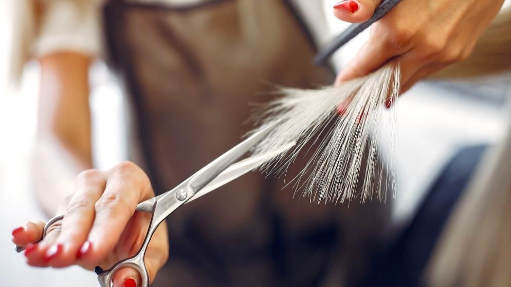    Почти полтысячи бесплатных услуг за год оказал мобильный салон красоты в Лангепасе