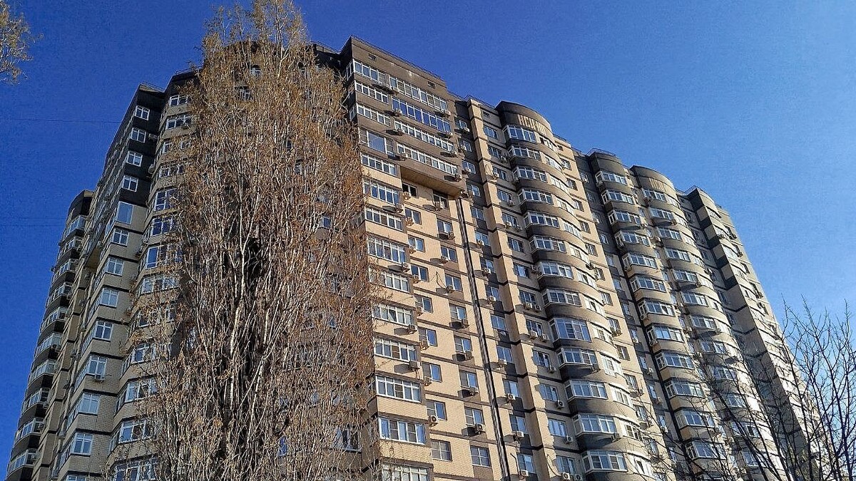    Фото: телеканал «Краснодар»