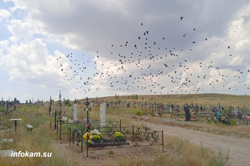    На кладбище Камышина