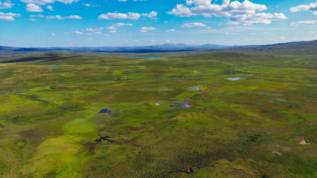    Patrick Pleul/Globallookpress