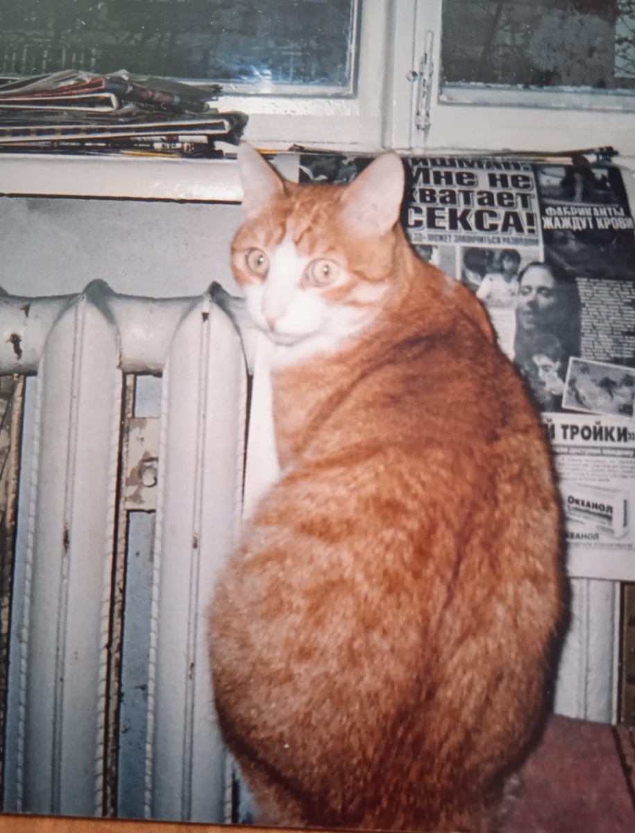 Мартик и газета. Фото автора рассказа - Виолины.