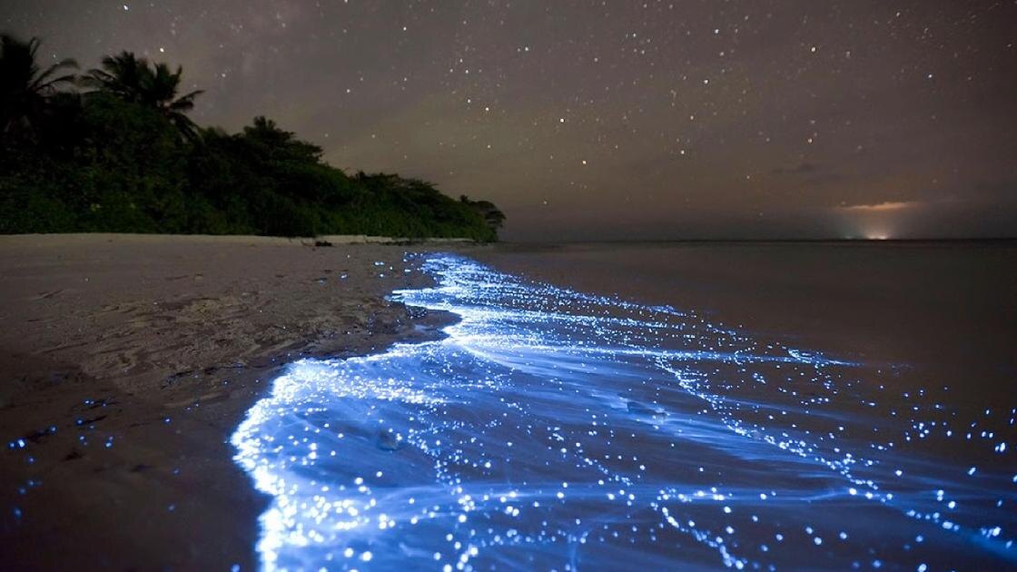 Светящийся прибой.