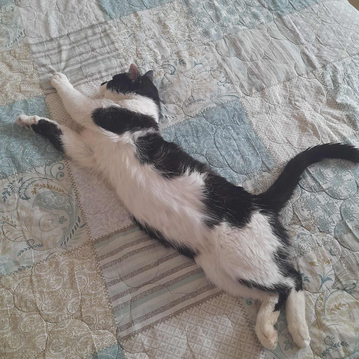 Фото автора.  Сегодня днем дома последний раз