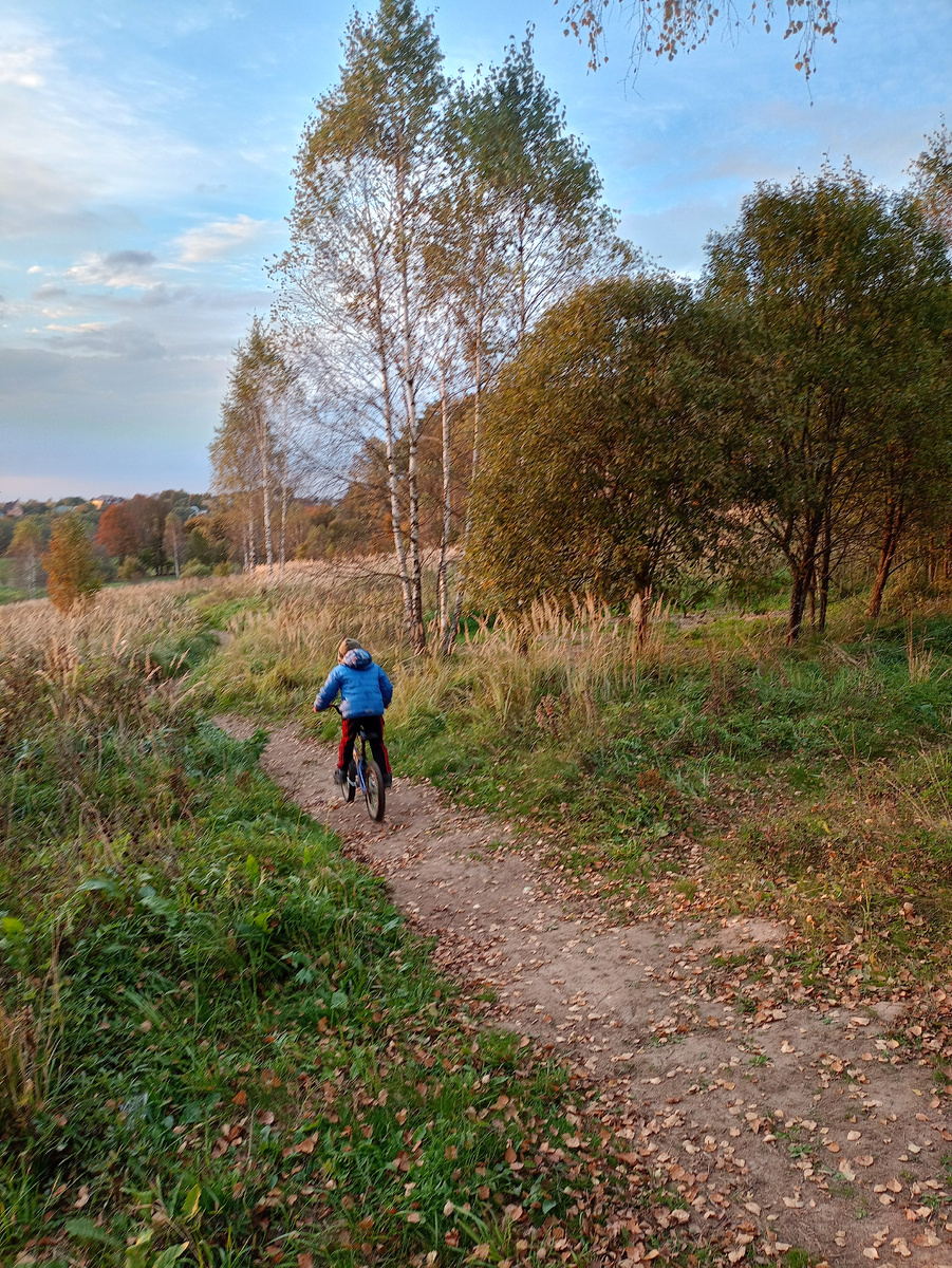 Картинка автора 