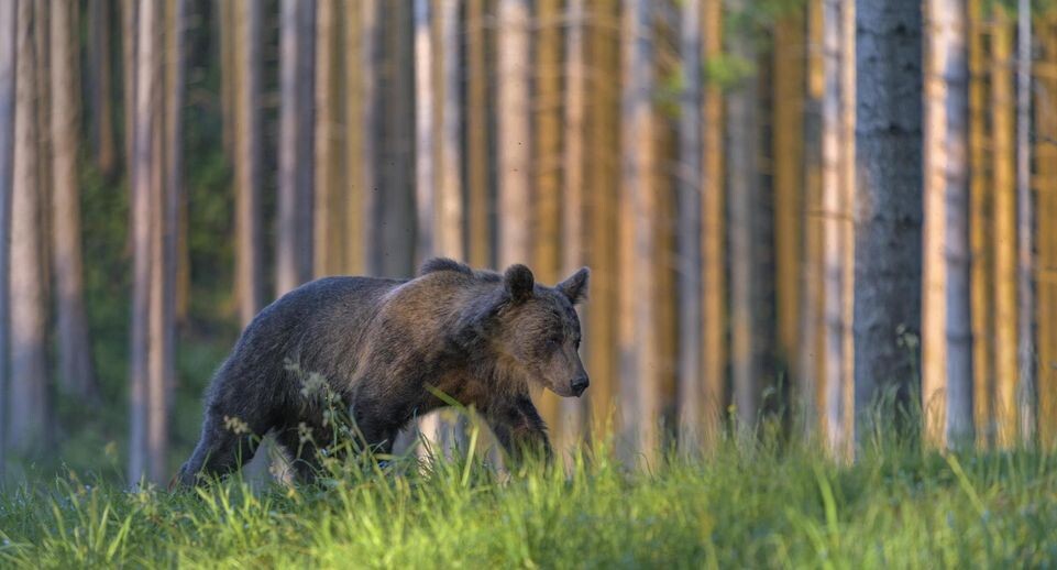    Bernd Zoller/imageBROKER.com / www.globallookpress.com