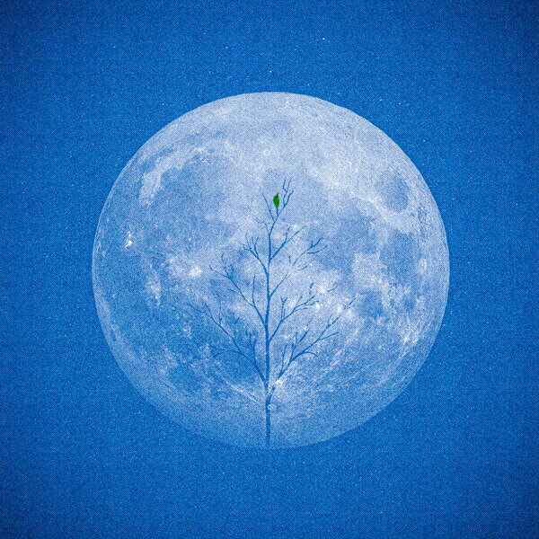     Рецензия на сингл «Она не виновата» группы «А-Студио»: Новая волна меня накрыла с головой