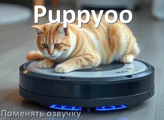 
Как поменять голос робота пылесоса Puppyoo установить озвучку через телефон iPhone и Android