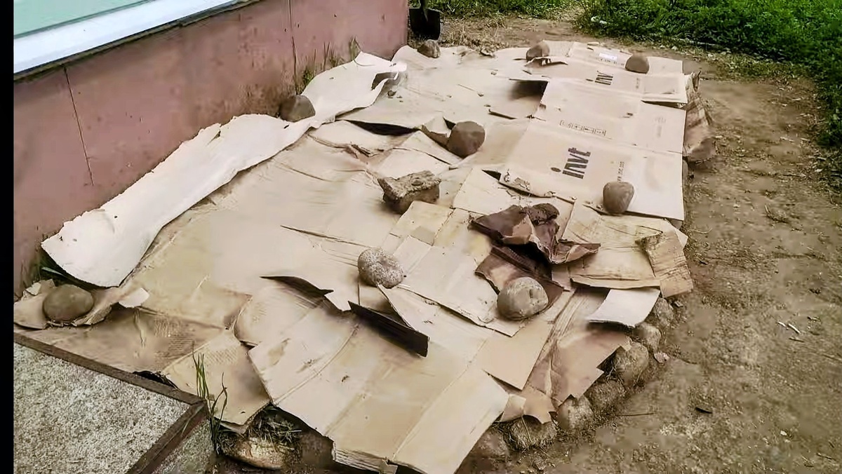 Почва застеклена картоном 