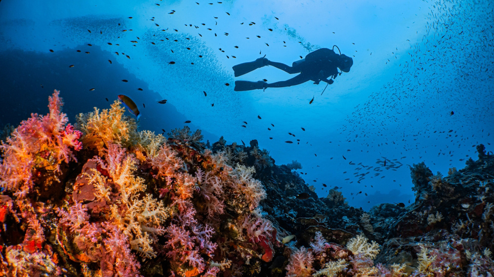     Фото: Kitjapat Film/Shutterstock/FOTODOM