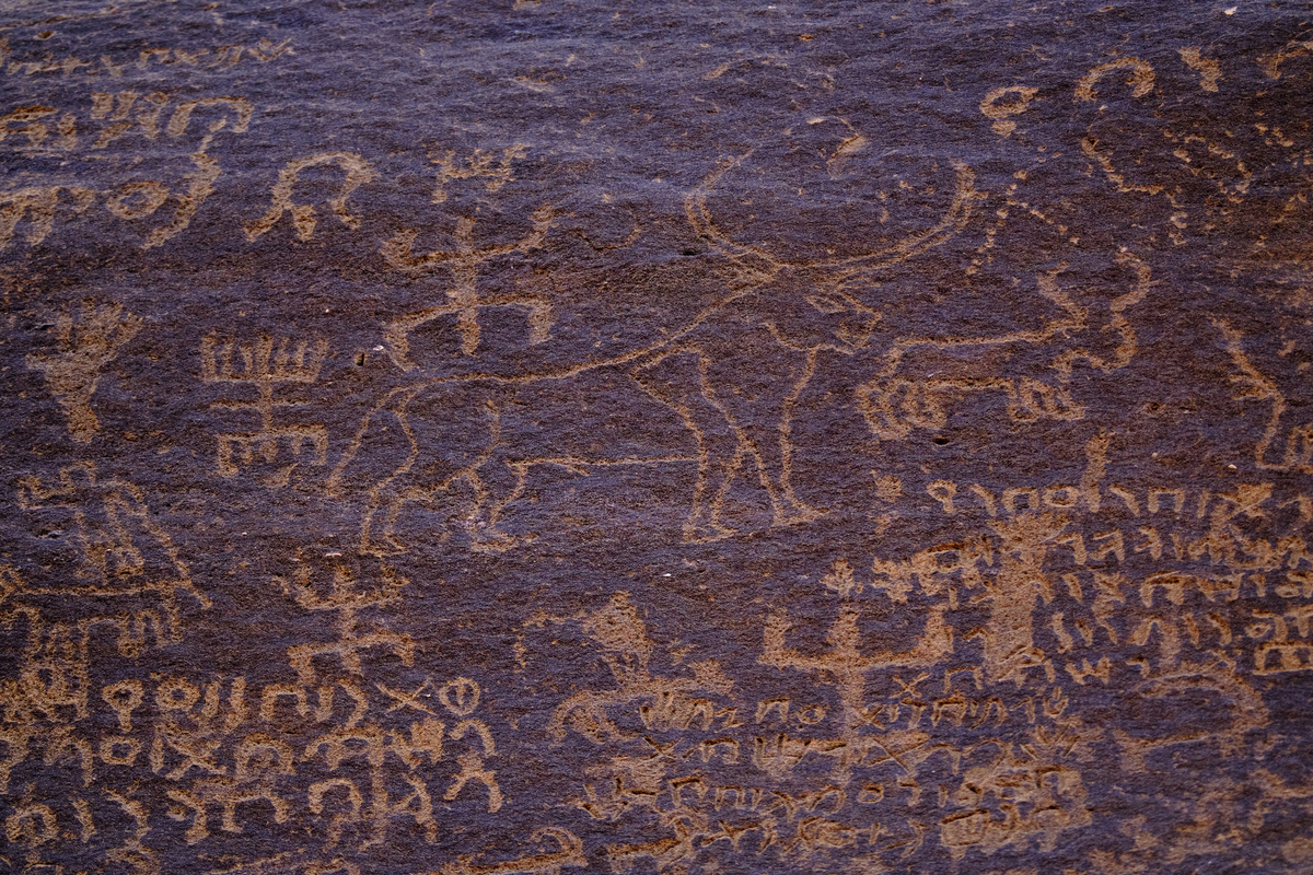     Петроглифы в Саудовской Аравии, архивное фото / Gettyimages.ru / Tuul & Bruno Morandi