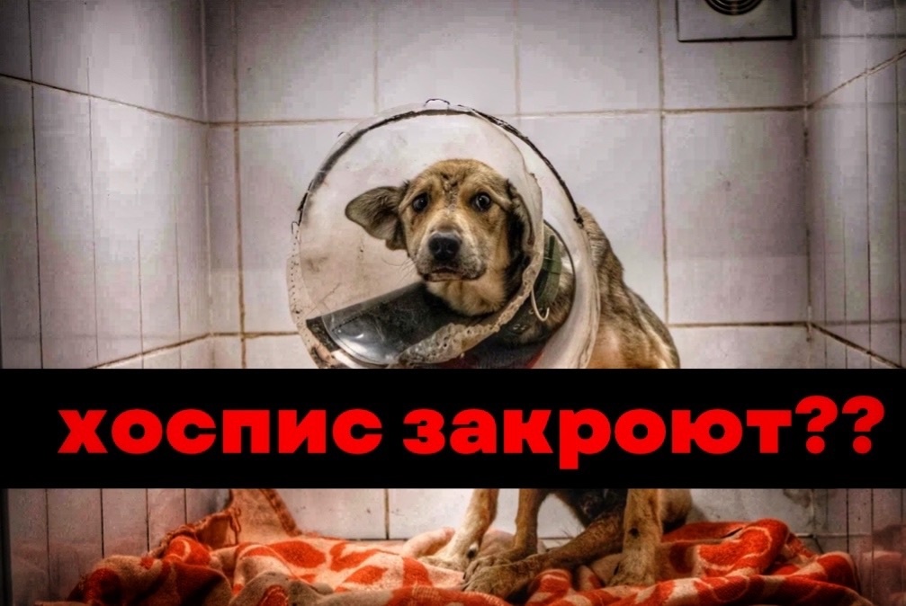 Оплата АРЕНДЫ через 2 дня, сотни инвалидов под угрозой!