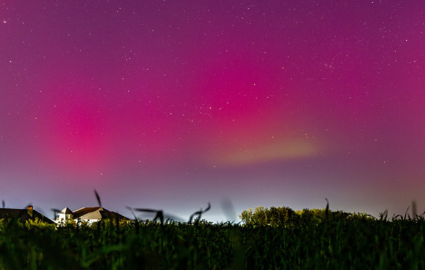 Эрик Романенко/ТАСС