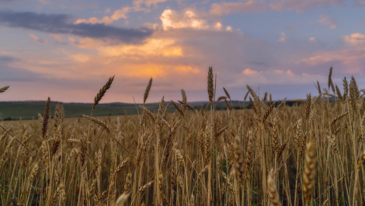    Фото: Юлия Мальцева