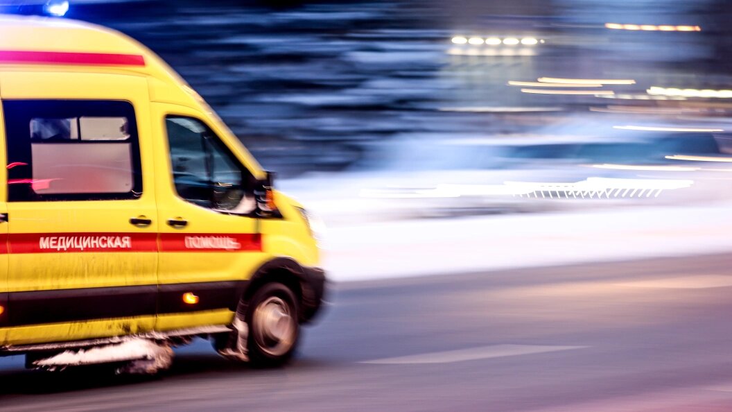    Фото: Dmitry Golubovich /Globallookpress