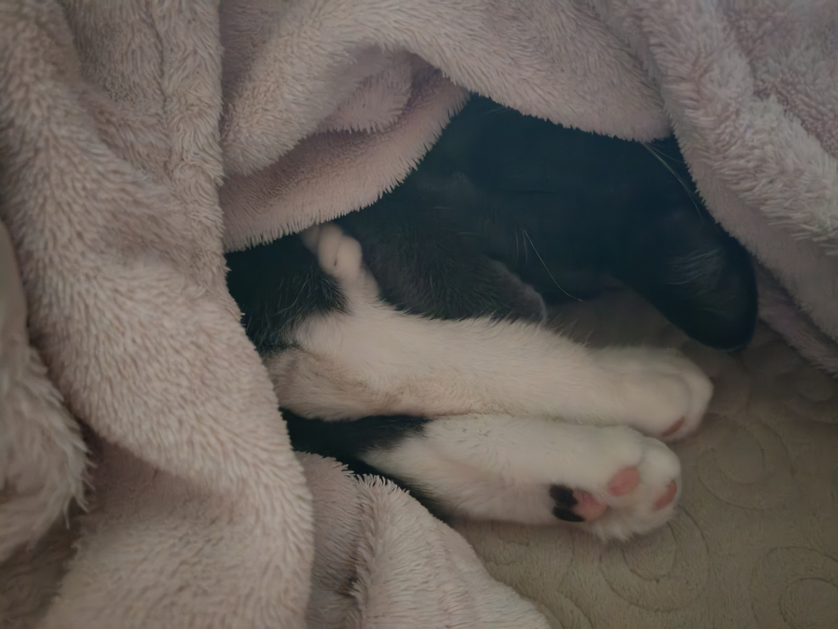 Будьте счастливы!