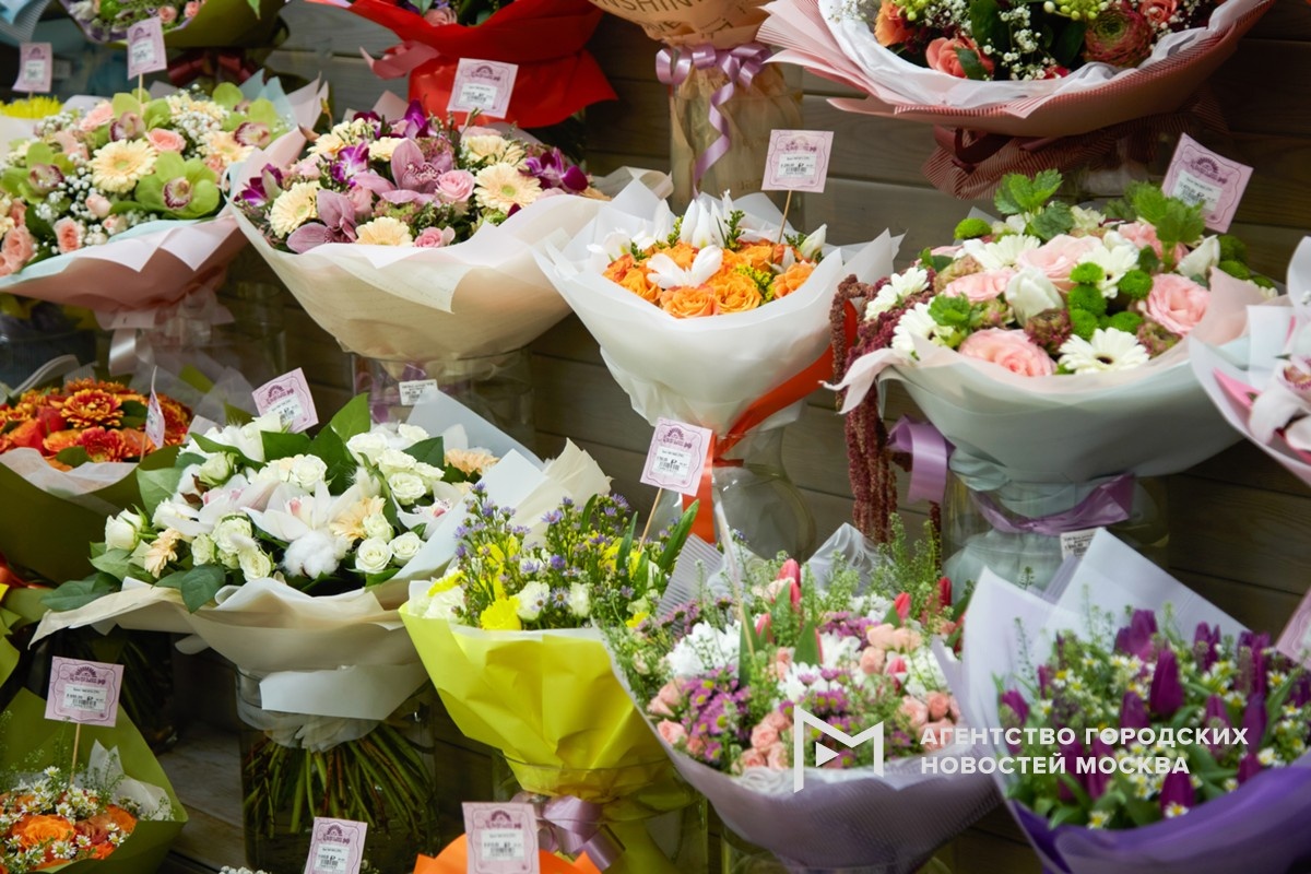 Фотограф: Дмитрий Белицкий