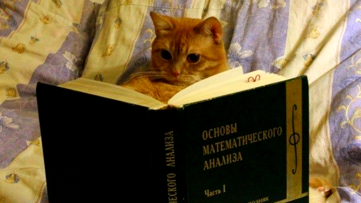 Но научат они вас отнюдь не математике